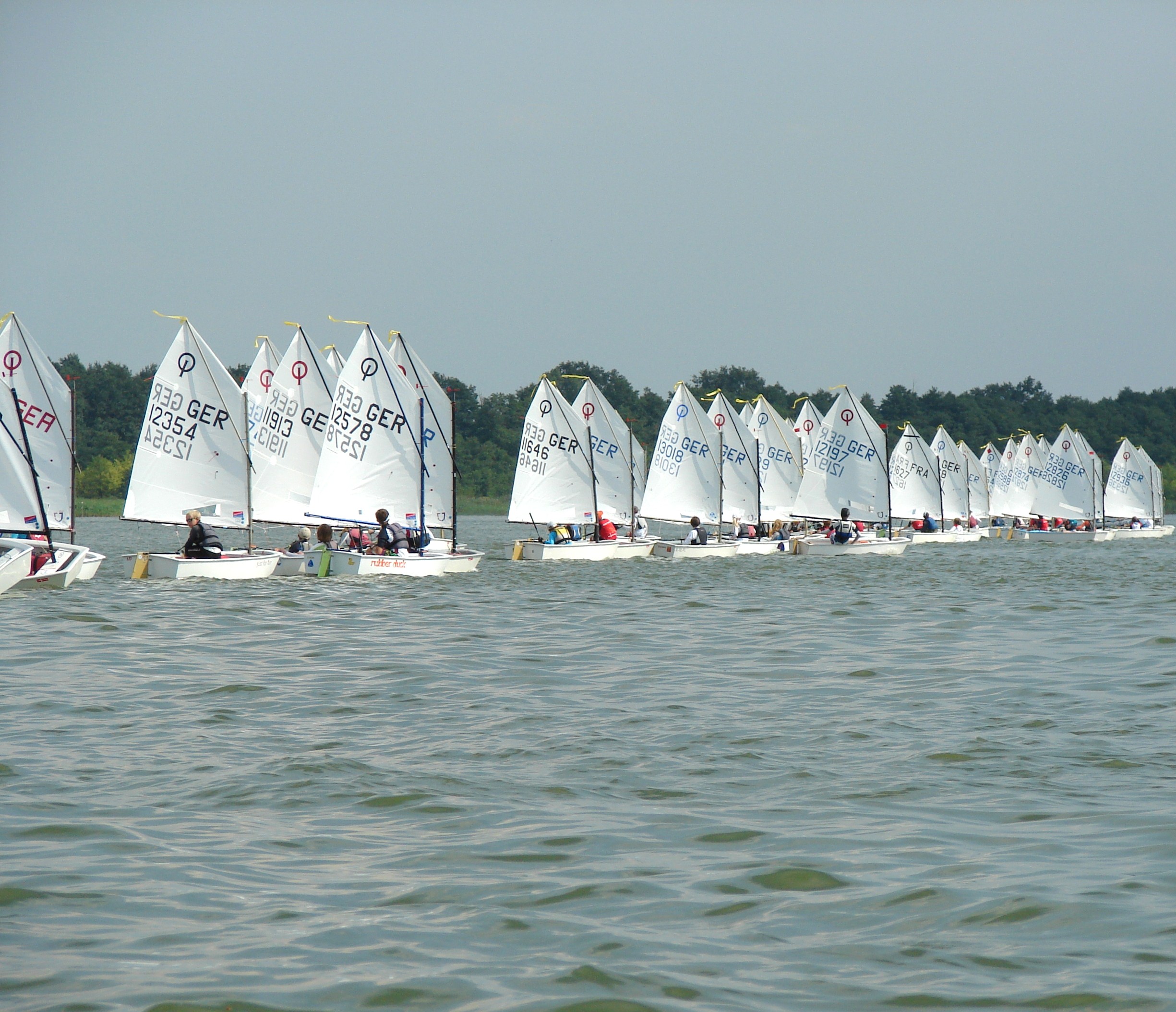 segeln wolziger see